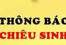 Thông báo chiêu sinh chương trình bồi dưỡng nghiệp vụ công tác Đội Theo Quyết định số 4649/QĐ-BGDĐT của Bộ Giáo dục & Đào tạo